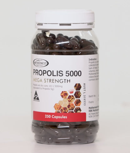 마더네스트 프로폴리스 5000 메가 스트렝스 (250캡슐)